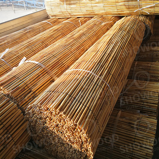 Dom Wood 3025 Dom Wood 3025