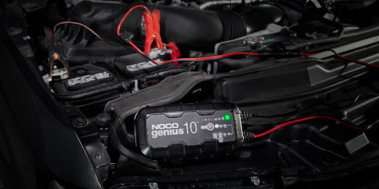 Noco Genius10 Car Battery Charger & Maintainer 6/12V