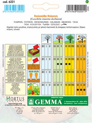 Gemma Seeds Pumpkinς Zucchini Organic Cultivation 4.5gr/14pcs