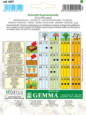 Gemma Seeds Pumpkinς Zucchini 5gr/30pcs