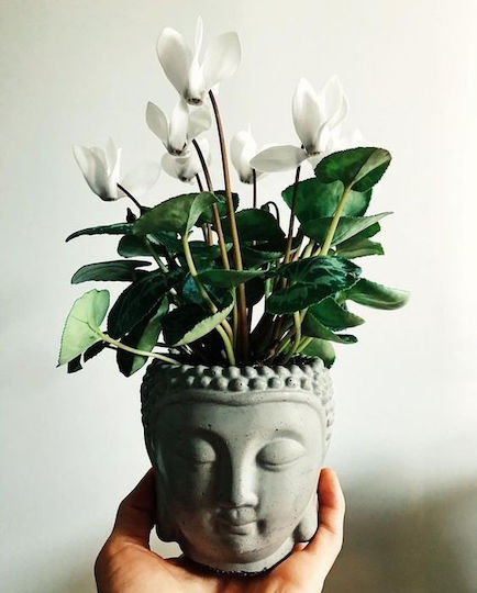 Zaros Plant Pot Concrete Gray