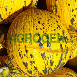 Agrogen Seeds Melon Thracian Green 2gr