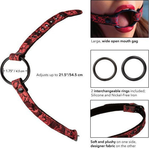 Calexotics Scandal Wide Open Mouth Gag Knebel in Schwarz Farbe