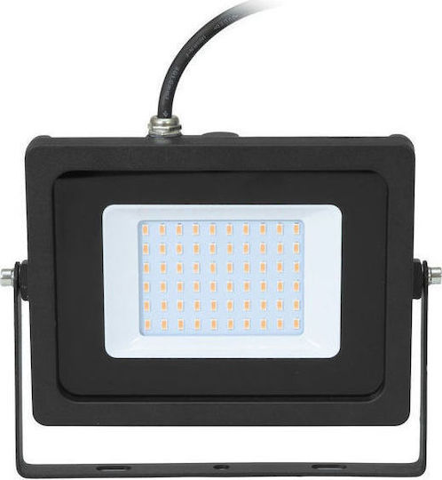 Eurolite Strobe Light LED IP FL-30 SMD Purple
