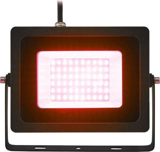 Eurolite Strobe Light LED IP FL-30 SMD Κόκκινο
