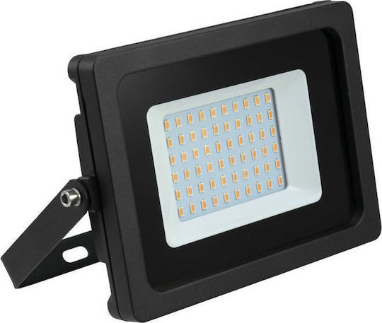 Eurolite Strobe Light LED IP FL-30 SMD Πορτοκαλί