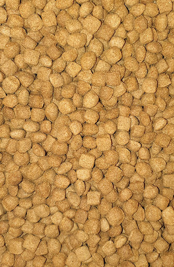 Laky Cooky Dog 10kg Dry Food for Adult Dogs with Chicken