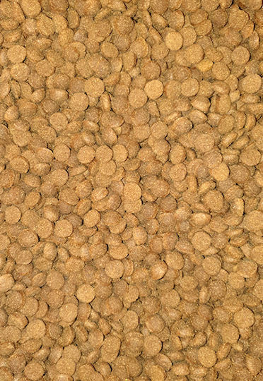 Laky Bono Energy 20kg Dry Food for Adult Dogs with Chicken and Poultry