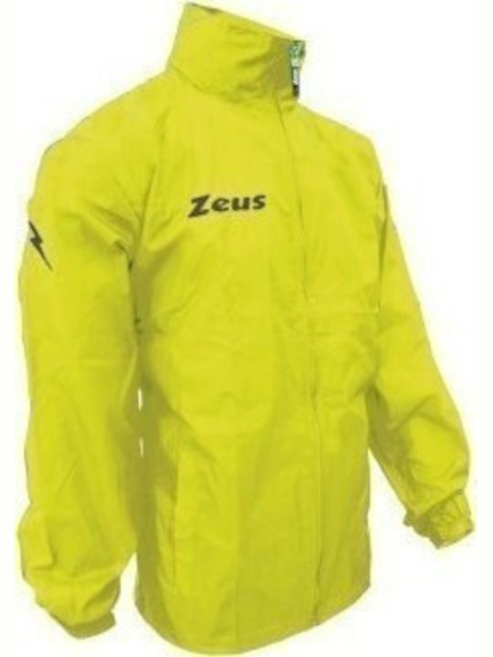 Zeus