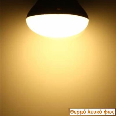 Diolamp Λάμπα LED για Ντουί B22 Θερμό Λευκό 600lm