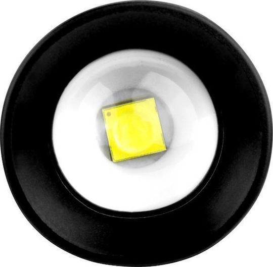 Ansmann Lumină de lucru și de sit, cu baterie Lanternă LED IP54 Future T350FR Integrat Negru