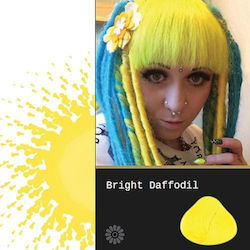 La Riche Directions Hair Color Toner Bright Daf...
