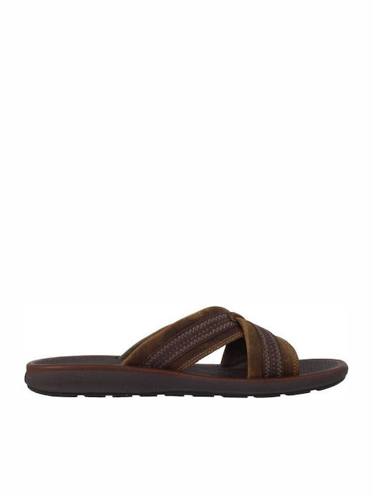 Clarks