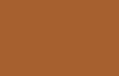 Montana Colors Σπρέι Βαφής 94 με Ματ Εφέ Bean Brown RV-98 400ml