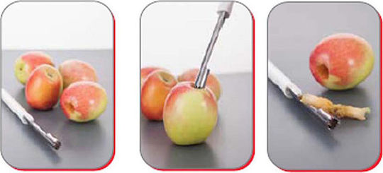 Svim Apple Peeler/Cleaner made of Stainless Steel