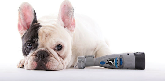 Dremel Dog