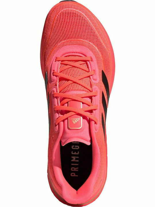 Supernova Men's Running Sport Shoes Signal Pink / Core Black / Copper Metallic / Coral