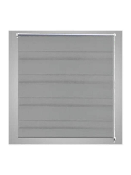 vidaXL Roller Blinds Ζebra Double Gray W100xH175cm 240211