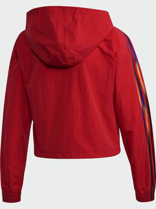 Adicolor Damen Sport Crop Top Langarm Scarlet