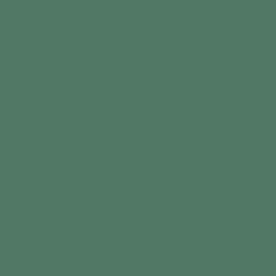 Flame Paint Spray Vopsea Flame Orange cu Matt E...