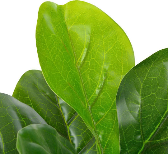 Ficus in Topfpflanze vidaXL