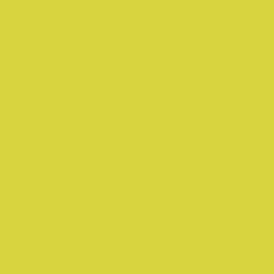 Flame Paint Spray Vopsea Flame Orange cu Matt E...