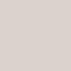 Flame Paint Spray Vopsea Flame Orange cu Matt E...