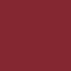 Flame Paint Spray Vopsea Flame Orange cu Matt E...