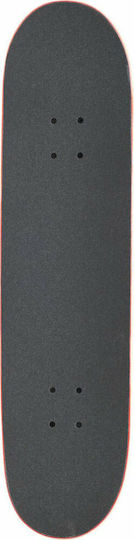 Zoo York Crackerjack Wall Street 8.25" Komplett Kurzboard Mehrfarbig
