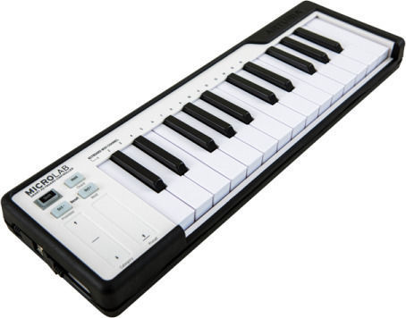 Arturia Midi-Tastatur Microlab mit 25 Tasten Schwarz