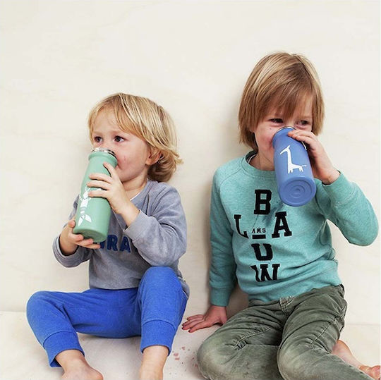 Fresk Kids Water Bottle Thermos Stainless Steel with Straw Non Spill Birds 350ml