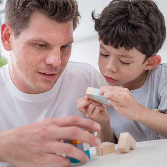 Wooden Kids Puzzle 3D Mini Cube 9pcs Plan Toys