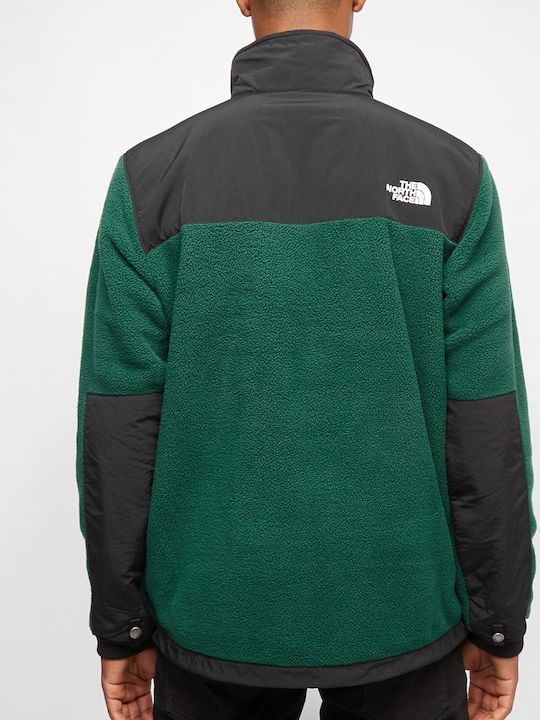 north face green denali