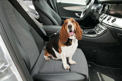 Lampa Seatbelt For Car for Dog 28cm 60474