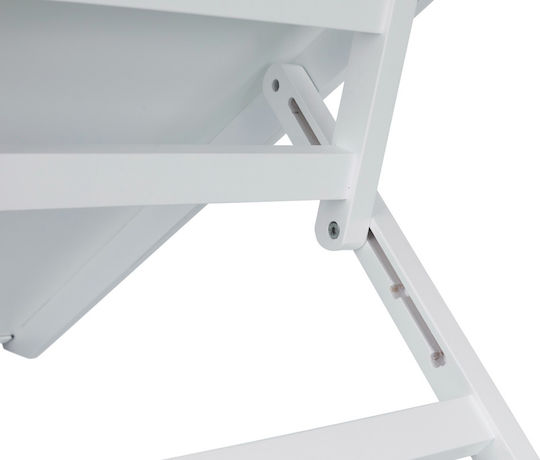 Trixie Pet Ramp with Adjustable Height Ramp Car for Dog 36x90cm up to 40kg Gray