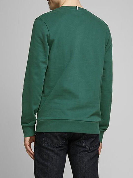 Jack & Jones Herren Sweatshirt Trekking Green