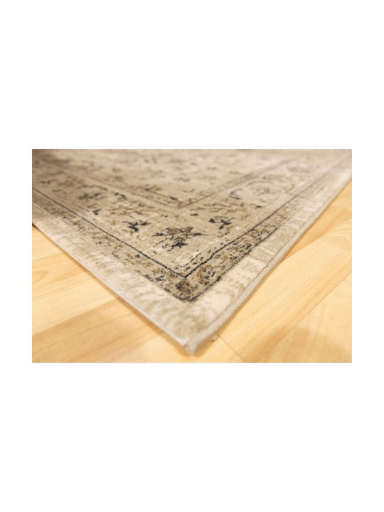 Ezzo 6299 Rug Rectangular Beige 15-6299AHY-B