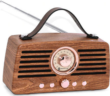 Newrixing NR-4013 Bluetooth-Lautsprecher 10W mit Radio Braun