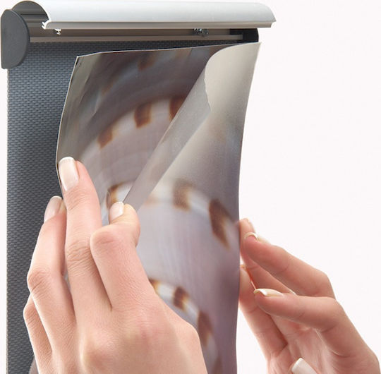 M&T Displays 17124 Label 50x148mm