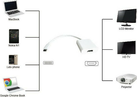 Powertech Converter USB-C male to HDMI female White 1pcs (PTH-037)