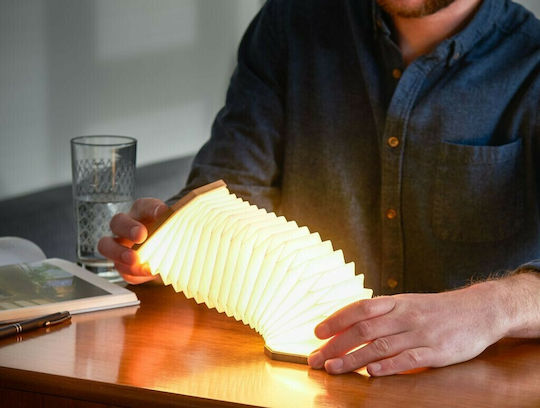 Gingko Διακοσμητικό Φωτιστικό LED Θερμό Λευκό 2700K 10x10εκ.