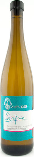 Ampeloeis Wein Abkommen Sauvignon Blanc Weiß Trocken 750ml
