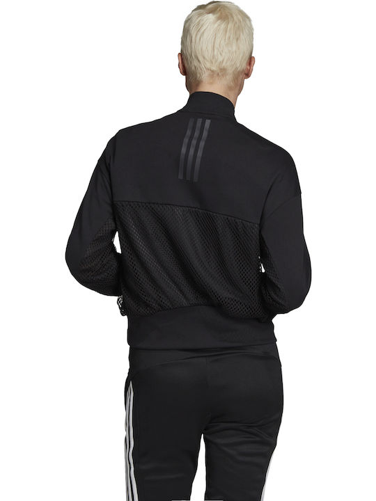 adidas Μπουφάν Bomber Μαύρο