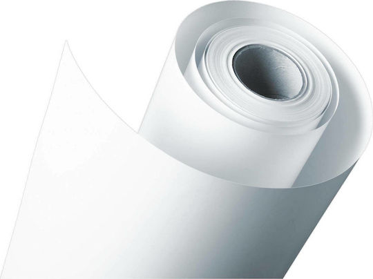 Epson Standard Proofing Hârtie Rulou 432mm x 50m 205gr/m²