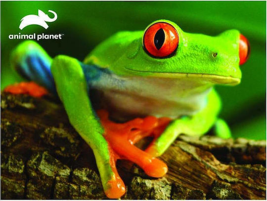 Kids Puzzle Animal Planet Tree Frog for 3+ years+ Years 48pcs Prime3D