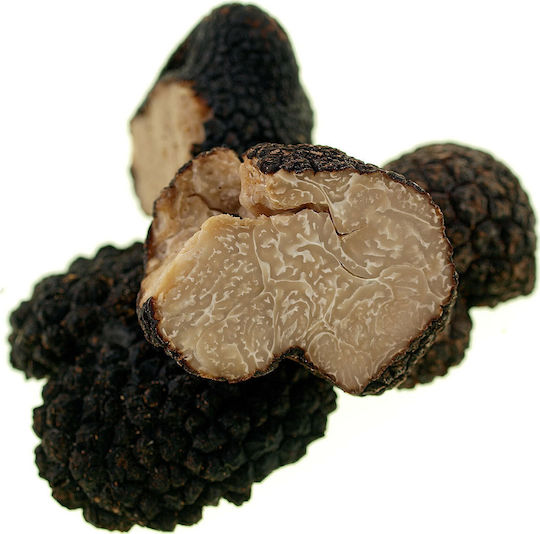 Dryas Pateu De Trufe Negre 80gr