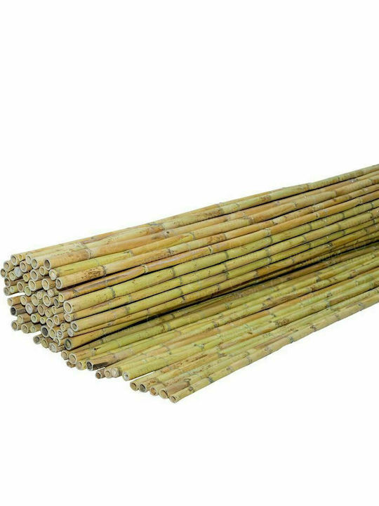 Showood Καλαμωτή με Ολόκληρο Καλάμι 1x3m 100300 Showood Καλαμωτή με Ολόκληρο Καλάμι 1x3m 100300