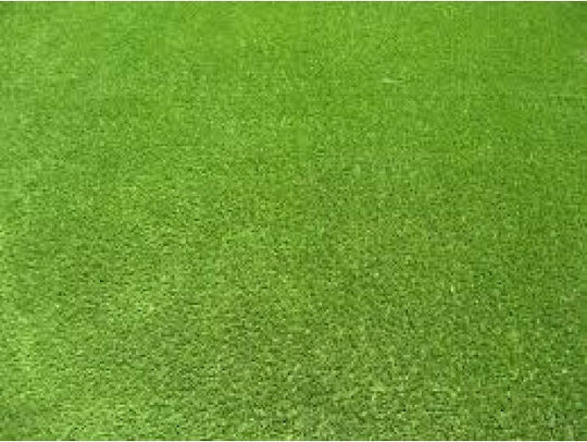 Fytro seeds Σπόροι Γκαζόν Φεστούκας Merida 1kg