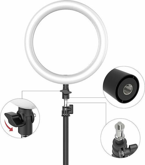 BlitzWolf BW-SL2 Lumină Inelară 26cm cu Trepied de Pardoseală și Suport pentru Telefon