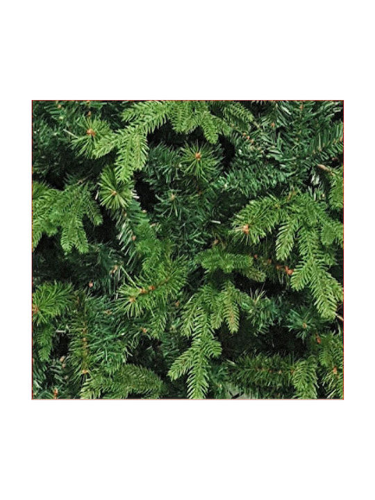 Christmas Tree Deaware Silver Fir 240cm with 3934 Branches